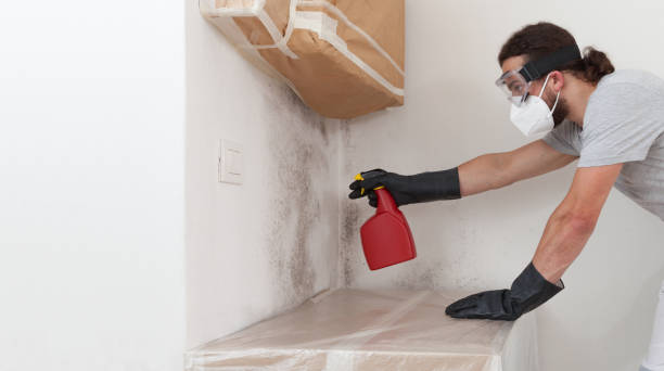 Professional Crawl Space Mold Removal technician working in Allensville, PA