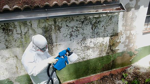Top rated local Crawl Space Mold Removal specialists in Allensville, PA